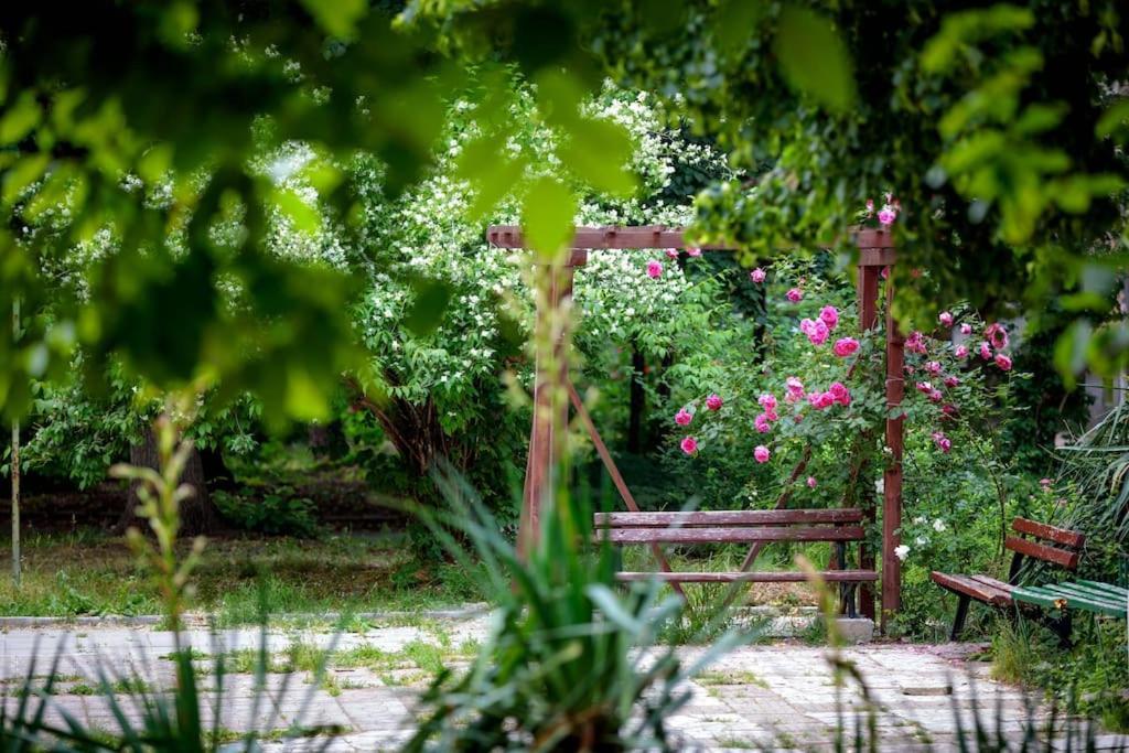 Green Apartment - Top Location, Near City Center! โซเฟีย ภายนอก รูปภาพ